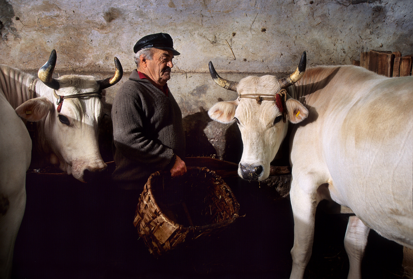 Natale, Tuscan Farmer