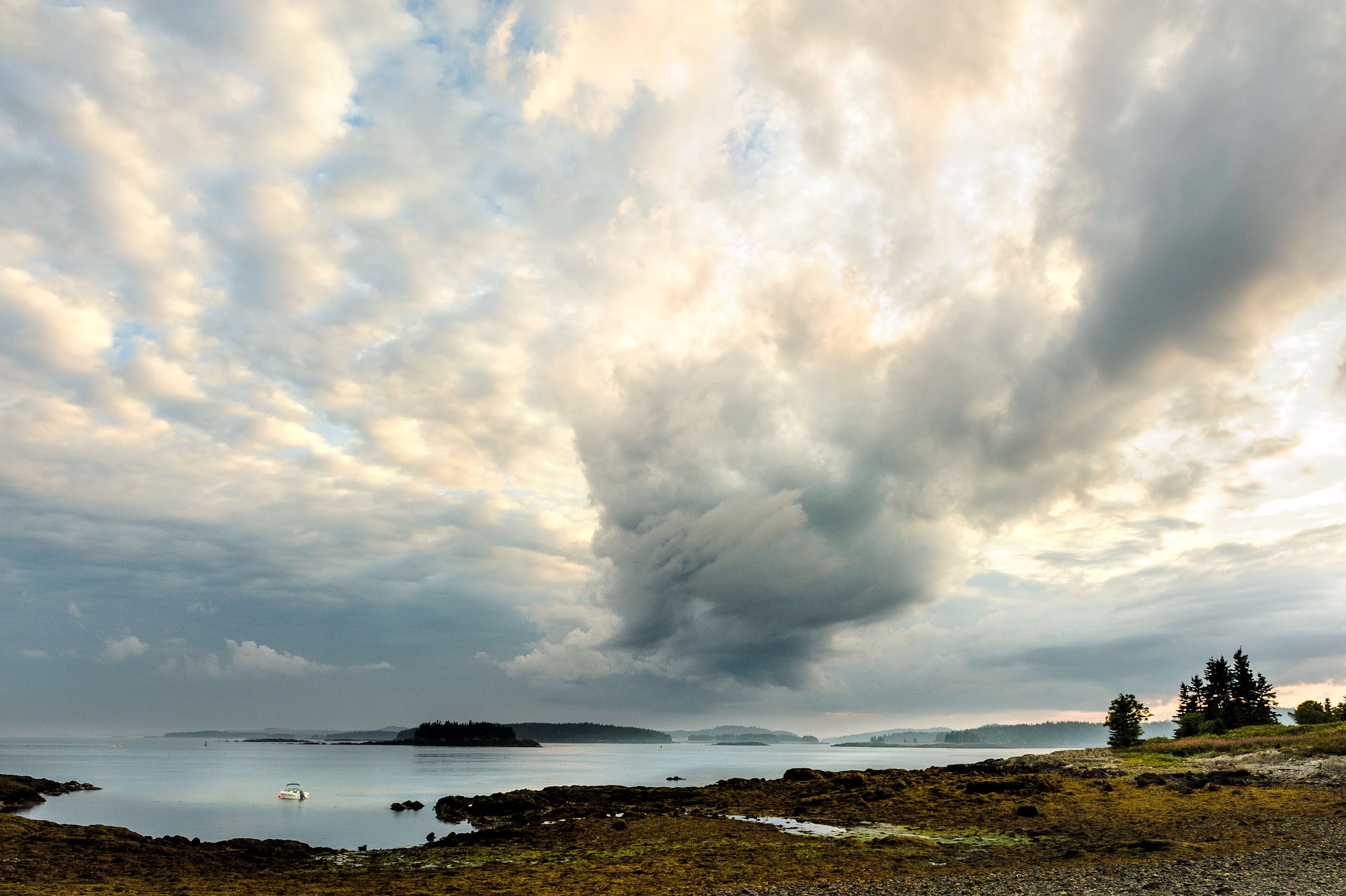 Susan_Lapides_2012BigSkyCopyright